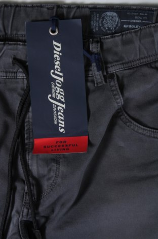 Herren Jeans Diesel, Größe S, Farbe Grau, Preis € 72,37