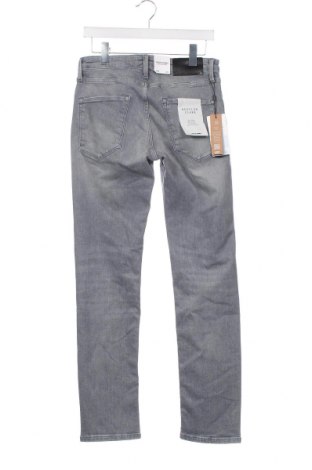 Herren Jeans Jack & Jones, Größe S, Farbe Grau, Preis 7,19 €