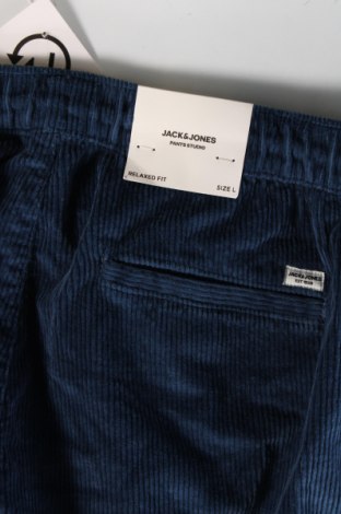 Pantaloni raiați de bărbați Jack & Jones, Mărime L, Culoare Albastru, Preț 107,07 Lei