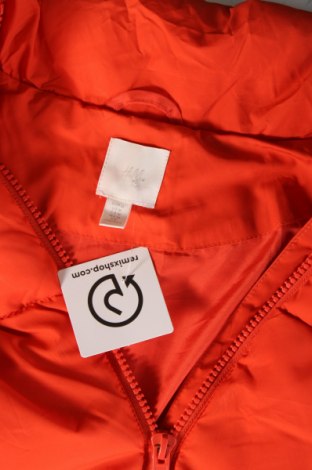 Ανδρικό γιλέκο H&M, Μέγεθος M, Χρώμα Πορτοκαλί, Τιμή 13,30 €