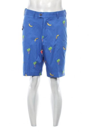 Ανδρικό κοντό παντελόνι Apparel, Μέγεθος M, Χρώμα Πολύχρωμο, Τιμή 23,81 €