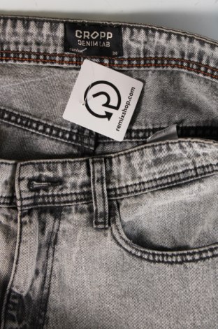 Ανδρικό κοντό παντελόνι Cropp, Μέγεθος L, Χρώμα Γκρί, Τιμή 35,07 €