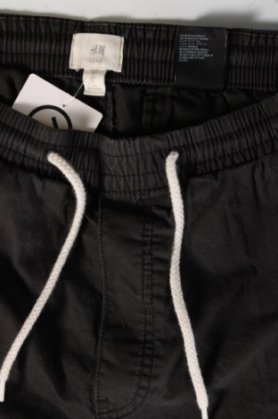 Herren Shorts H&M L.O.G.G., Größe S, Farbe Grau, Preis € 12,79