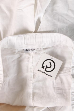 Ανδρικό κοντό παντελόνι Livergy, Μέγεθος L, Χρώμα Λευκό, Τιμή 12,79 €
