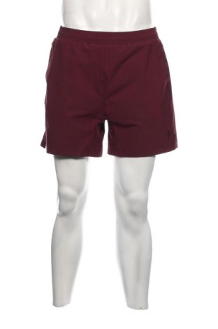 Ανδρικό κοντό παντελόνι Superdry, Μέγεθος L, Χρώμα Κόκκινο, Τιμή 16,24 €