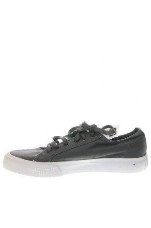 Herrenschuhe DC Shoes, Größe 42, Farbe Grau, Preis 71,16 €