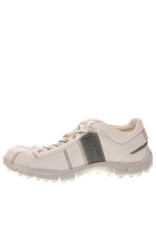 Ανδρικά παπούτσια Timberland, Μέγεθος 44, Χρώμα Λευκό, Τιμή 93,37 €
