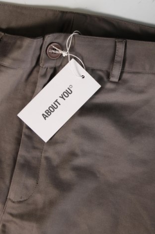 Ανδρικό παντελόνι About You, Μέγεθος L, Χρώμα Γκρί, Τιμή 9,13 €