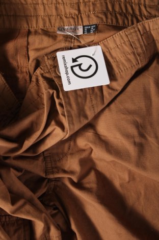 Ανδρικό παντελόνι Livergy, Μέγεθος L, Χρώμα  Μπέζ, Τιμή 3,59 €