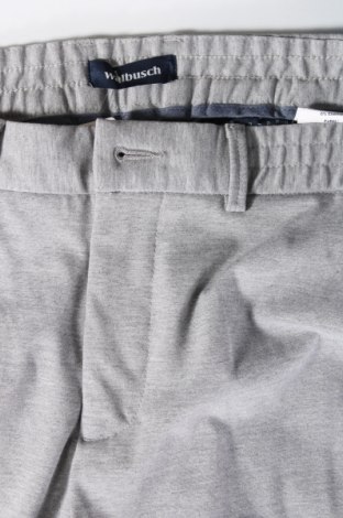 Pantaloni de bărbați Walbusch, Mărime L, Culoare Gri, Preț 34,67 Lei