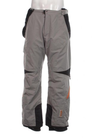 Pantaloni bărbătești pentru sporturi de iarnă, Mărime L, Culoare Gri, Preț 123,36 Lei