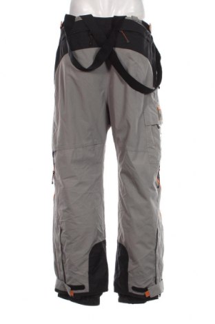 Ανδρικό παντελόνι για χειμερινά σπορ, Μέγεθος L, Χρώμα Γκρί, Τιμή 24,59 €