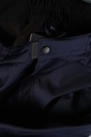 Мъжки панталон за зимни спортове Crivit, Размер L, Цвят Син, Цена 21,00 лв.