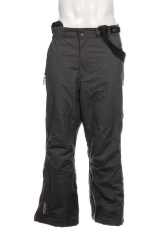 Мъжки панталон за зимни спортове Snowgear by TCM, Размер L, Цвят Сив, Цена 21,00 лв.