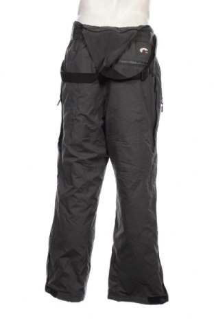 Мъжки панталон за зимни спортове Snowgear by TCM, Размер L, Цвят Сив, Цена 15,75 лв.
