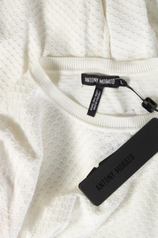 Мъжки пуловер Antony Morato, Размер L, Цвят Бял, Цена 36,40 лв.