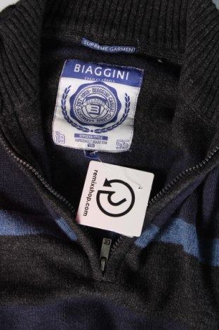Ανδρικό πουλόβερ Biaggini, Μέγεθος L, Χρώμα Γκρί, Τιμή 17,94 €