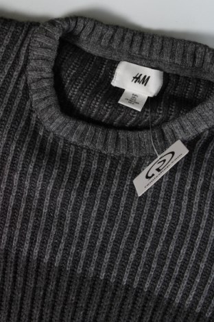 Herrenpullover H&M, Größe L, Farbe Grau, Preis 4,44 €