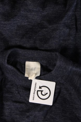 Herrenpullover H&M L.O.G.G., Größe M, Farbe Blau, Preis € 10,29