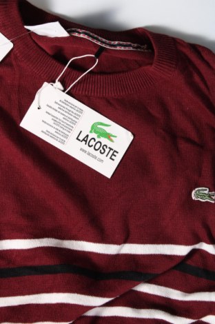 Pánsky sveter  Lacoste, Veľkosť XL, Farba Viacfarebná, Cena  75,19 €