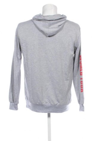 Herren Sweatshirt, Größe L, Farbe Grau, Preis 5,25 €
