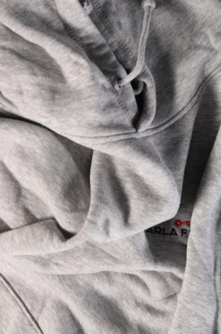 Herren Sweatshirt, Größe M, Farbe Grau, Preis 6,46 €