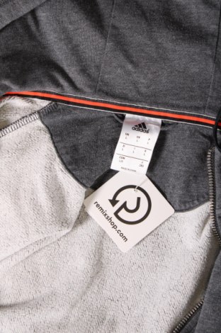 Ανδρικό φούτερ Adidas, Μέγεθος L, Χρώμα Γκρί, Τιμή 34,02 €