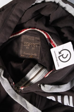 Ανδρικό φούτερ Esprit, Μέγεθος L, Χρώμα Γκρί, Τιμή 11,41 €