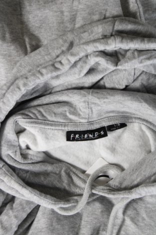 Herren Sweatshirt Friends, Größe L, Farbe Grau, Preis 11,41 €