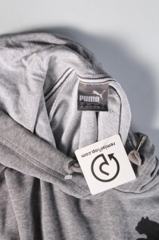 Ανδρικό φούτερ PUMA, Μέγεθος XL, Χρώμα Γκρί, Τιμή 30,62 €