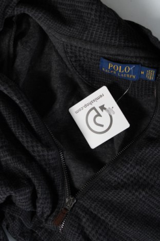 Ανδρικό φούτερ Polo By Ralph Lauren, Μέγεθος M, Χρώμα Πολύχρωμο, Τιμή 76,08 €