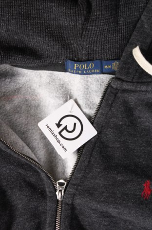 Ανδρικό φούτερ Polo By Ralph Lauren, Μέγεθος M, Χρώμα Γκρί, Τιμή 76,08 €