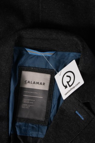 Мъжко палто Calamar, Размер L, Цвят Сив, Цена 46,40 лв.