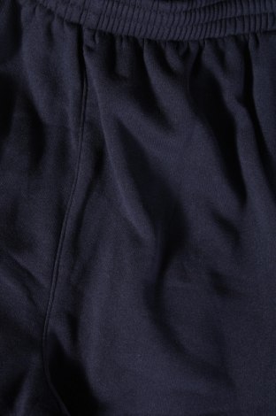 Herren Sporthose, Größe L, Farbe Blau, Preis € 13,72