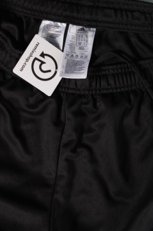 Herren Sporthose Adidas, Größe M, Farbe Schwarz, Preis € 28,53