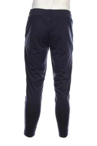 Ανδρικό αθλητικό παντελόνι Crane, Μέγεθος L, Χρώμα Μπλέ, Τιμή 17,94 €
