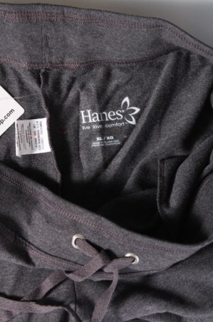 Ανδρικό αθλητικό παντελόνι Hanes, Μέγεθος XL, Χρώμα Γκρί, Τιμή 13,04 €
