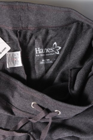 Мъжко спортно долнище Hanes, Размер XL, Цвят Сив, Цена 46,00 лв.