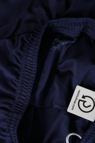 Herren Sporthose PUMA, Größe XL, Farbe Blau, Preis 28,53 €