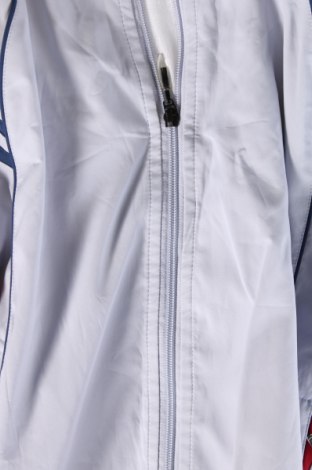 Ανδρικό μπουφάν, Μέγεθος S, Χρώμα Μπλέ, Τιμή 13,75 €