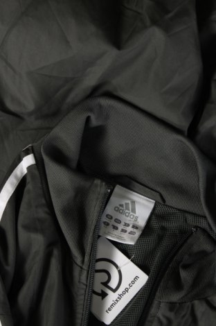 Ανδρικό μπουφάν Adidas Originals, Μέγεθος L, Χρώμα Γκρί, Τιμή 25,98 €