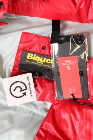 Pánska bunda  Blauer, Veľkosť XL, Farba Červená, Cena  196,39 €
