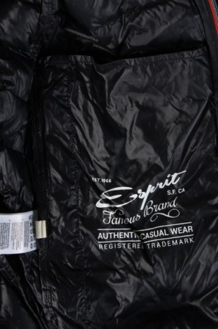 Ανδρικό μπουφάν Esprit, Μέγεθος M, Χρώμα Μπλέ, Τιμή 42,06 €