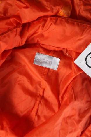 Herrenjacke Esprit, Größe XL, Farbe Orange, Preis € 9,02