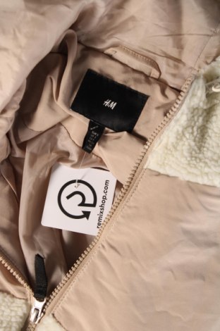 Pánska bunda  H&M, Veľkosť S, Farba Biela, Cena  18,42 €