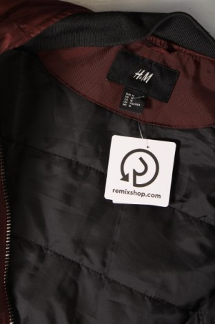 Pánská bunda  H&M, Velikost M, Barva Hnědá, Cena  527,00 Kč