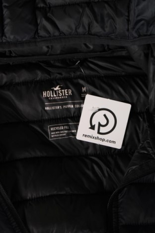Ανδρικό μπουφάν Hollister, Μέγεθος M, Χρώμα Μπλέ, Τιμή 80,41 €