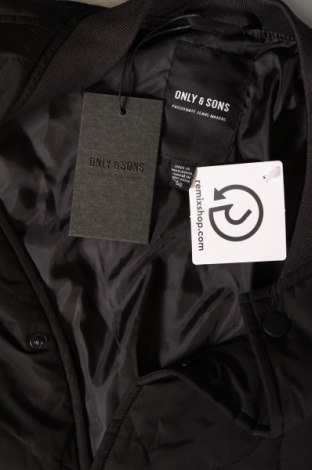 Ανδρικό μπουφάν Only & Sons, Μέγεθος L, Χρώμα Μαύρο, Τιμή 23,81 €