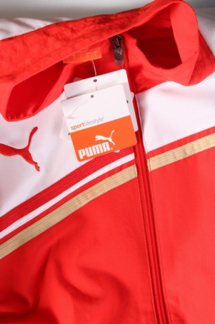 Pánska bunda  PUMA, Veľkosť L, Farba Červená, Cena  24,54 €