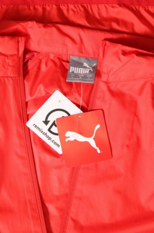 Ανδρικό μπουφάν PUMA, Μέγεθος L, Χρώμα Κόκκινο, Τιμή 28,10 €